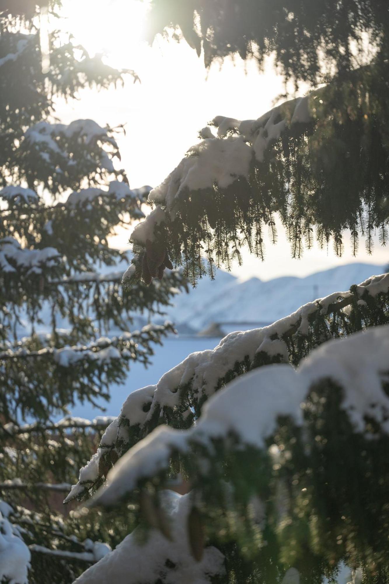 Chalet Alpe D'Huez 1850-Sea And Mountain Pleasure Avec 2 Appartements- 1 Appartement 3 Chambres 8 Couchages - 3 Salles D'Eau Et 1 Appartement 5 Chambres 12 Couchages 5 Salles D'Eau - Jacuzzi Et Sauna -Pieds Des Pistes Et Centre Esterno foto